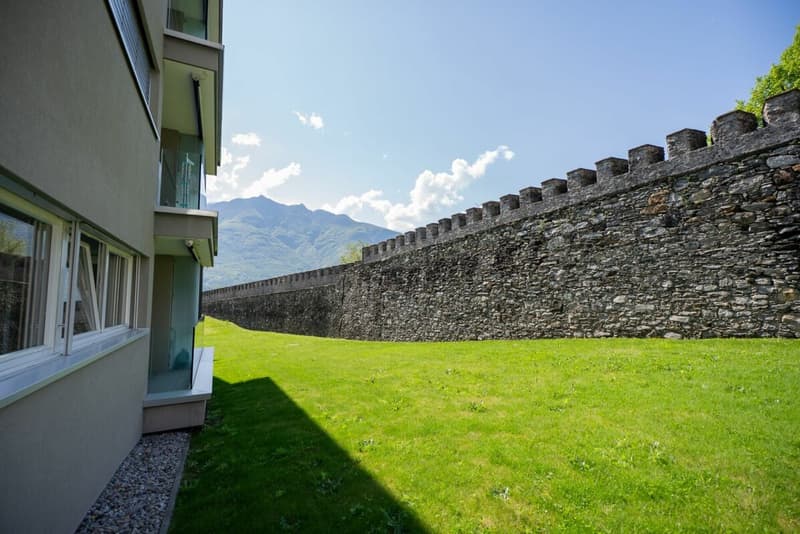 Vendiamo speciale 4.5 locali a Monte Carasso (2)