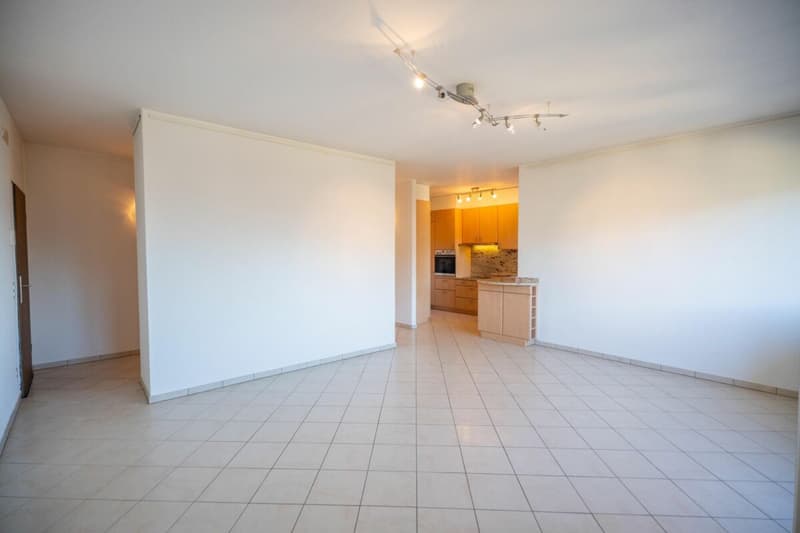 Bel appartement 3,5 pièces à vendre (7)