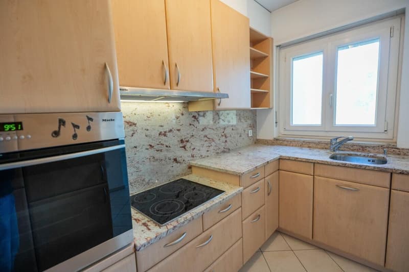 Bel appartement 3,5 pièces à vendre (6)