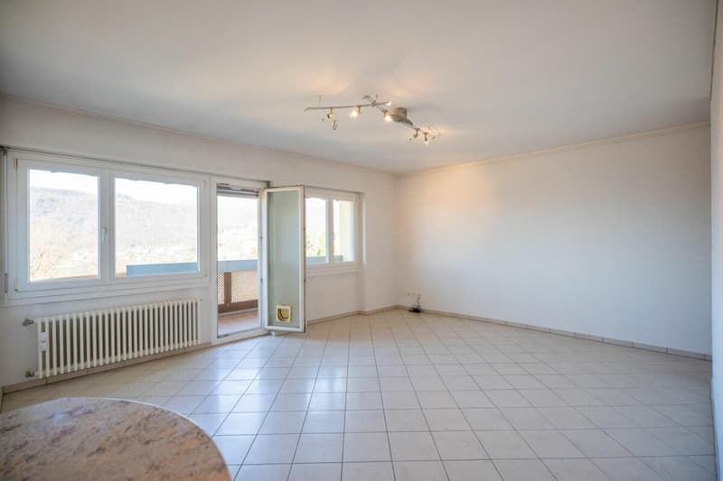 Bel appartement 3,5 pièces à vendre (4)