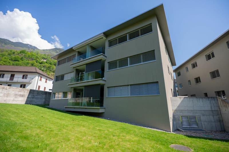 Nous vendons à Monte Carasso un beau 4.5 pièces entouré des murailles (3)