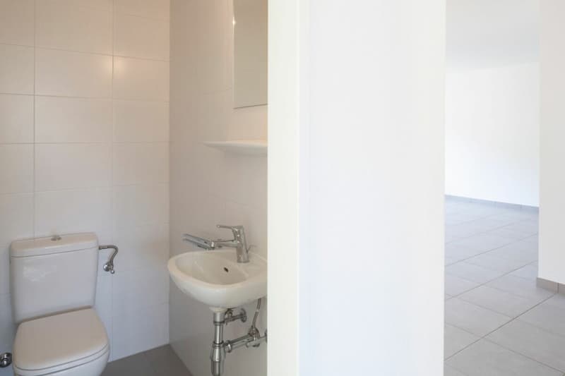 Quartier Sagittario 3,5 pièces rénové (12)