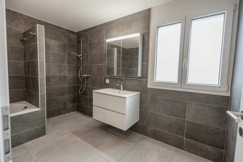 Modern and spacious villas for sale in Moleno (13)