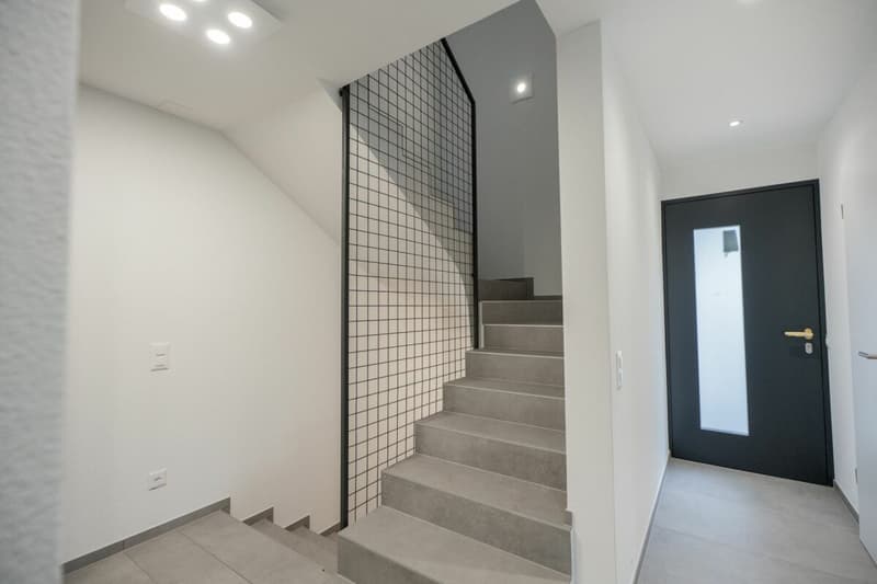 Modern and spacious villas for sale in Moleno (14)