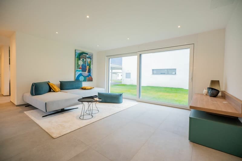 Modern and spacious villas for sale in Moleno (7)