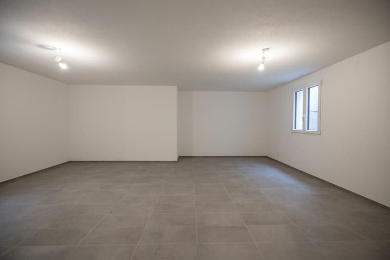 Modern and spacious villas for sale in Moleno (15)
