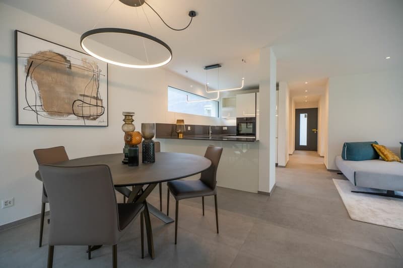 We sell modern and spacious single-family homes in Moleno (1)