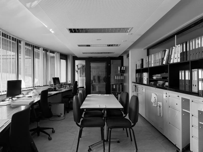 Prestige location - Coworking spaces and flexible work areas in Monte Carasso (3)