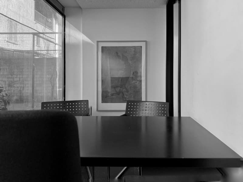Prestige location - Coworking spaces and flexible work areas in Monte Carasso (10)