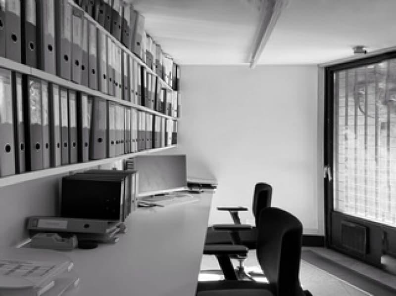 Prestige location - Coworking spaces and flexible work areas in Monte Carasso (14)