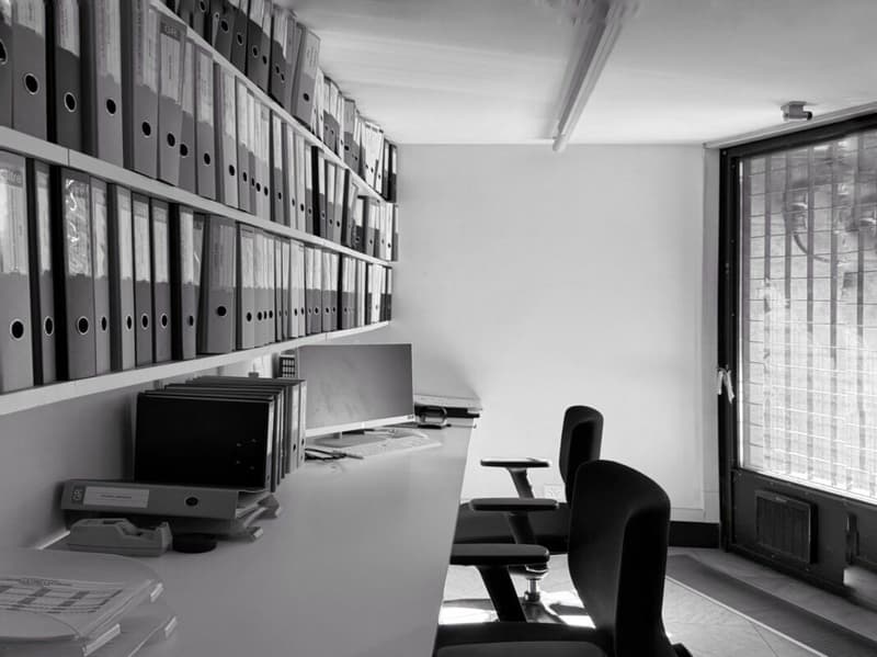 Prestigious location - Modular office and commercial spaces in Monte Carasso (4)