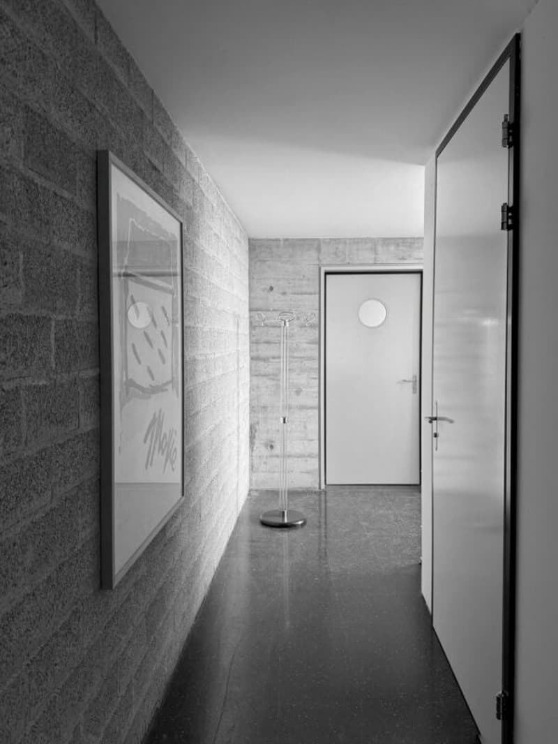 Prestigious location - Modular office and commercial spaces in Monte Carasso (5)