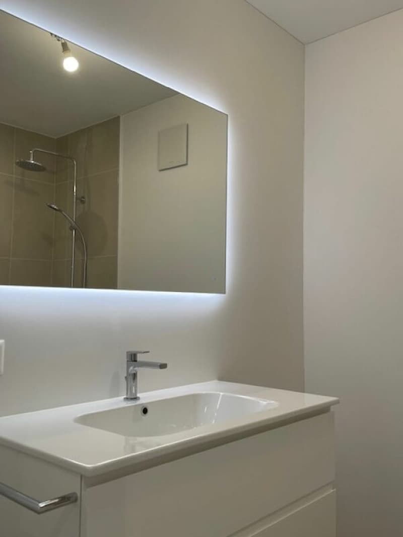 Affittiamo moderno 2.5 locali in bellissima zona di Ponte Capriasca (9)