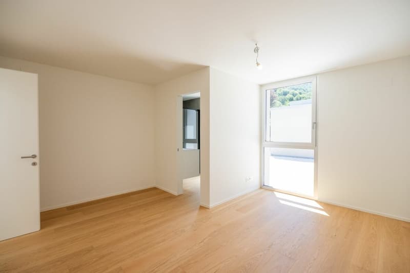 Wir verkaufen schöne Design-Villen in Cadro (18)