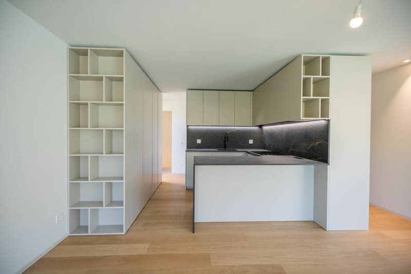 Wir verkaufen schöne Design-Villen in Cadro (8)