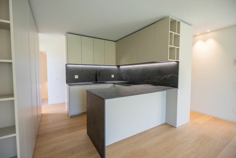 Hochmoderne Design-Villen in Cadro (11)