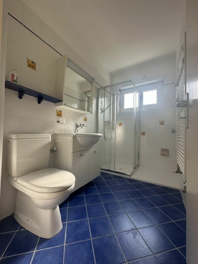 Schönes 3.5-Zimmer-Wohnung mit Terrasse (11)
