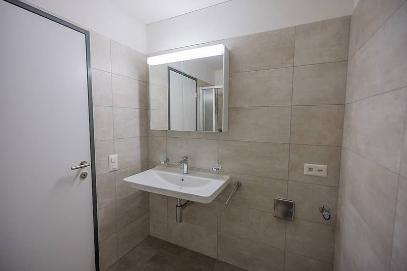 Wir verkaufen in Monte Carasso eine schöne 4.5-Zimmer-Wohnung im Grünen (11)