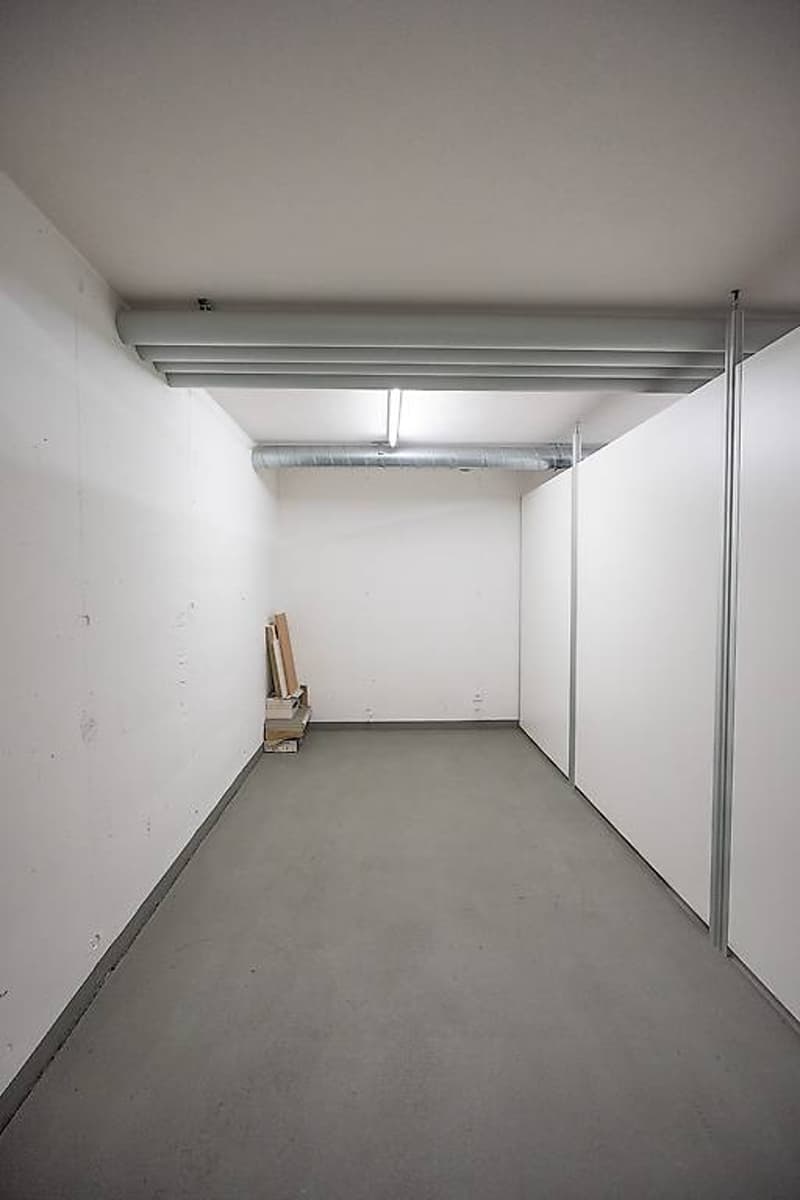 Wir verkaufen in Monte Carasso eine schöne 4.5-Zimmer-Wohnung im Grünen (13)