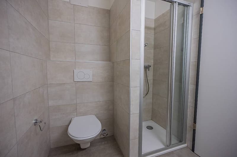 Wir verkaufen in Monte Carasso eine schöne 4.5-Zimmer-Wohnung im Grünen (10)