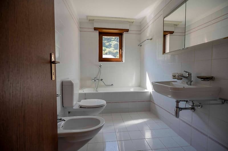 We are selling a rental property with three large apartments (9)