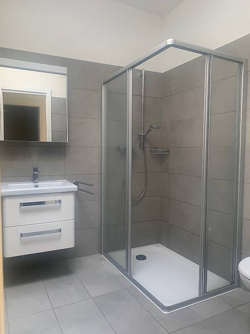 Renting modern 3.5 rooms in San Vittore (GR) (7)