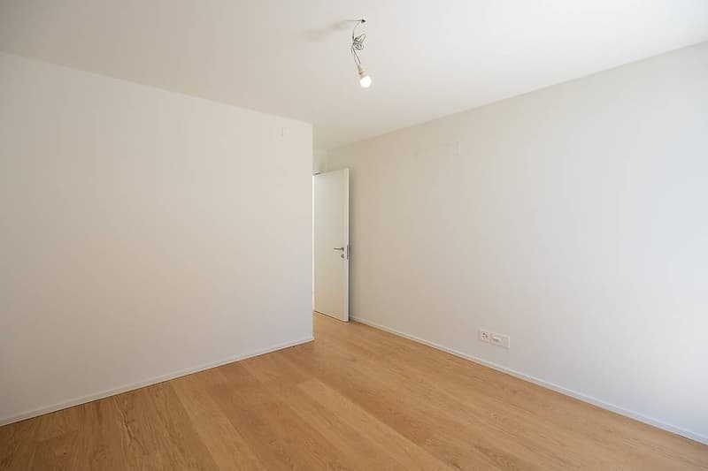 Modern Design Villas in Cadro (12)