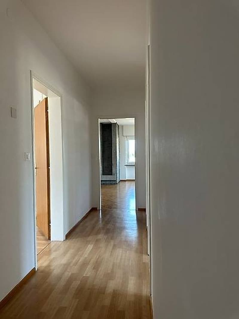Bellinzona: Schöne 4.5-Zimmer-Wohnung in ruhiger Lage nahe EOC (4)