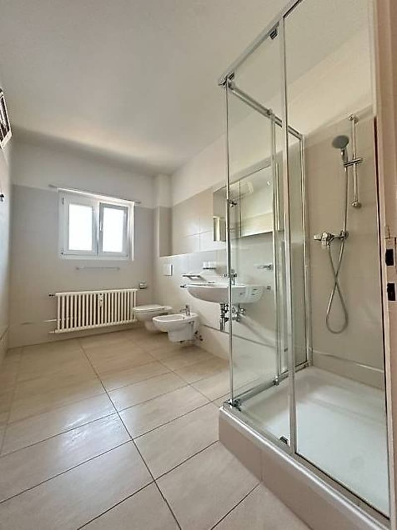 Bellinzona: Schöne 4.5-Zimmer-Wohnung in ruhiger Lage nahe EOC (5)