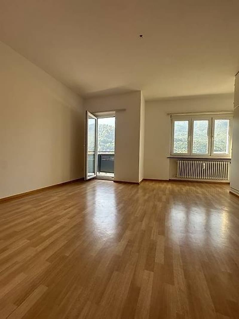 Bellinzona: Schöne 4.5-Zimmer-Wohnung in ruhiger Lage nahe EOC (6)