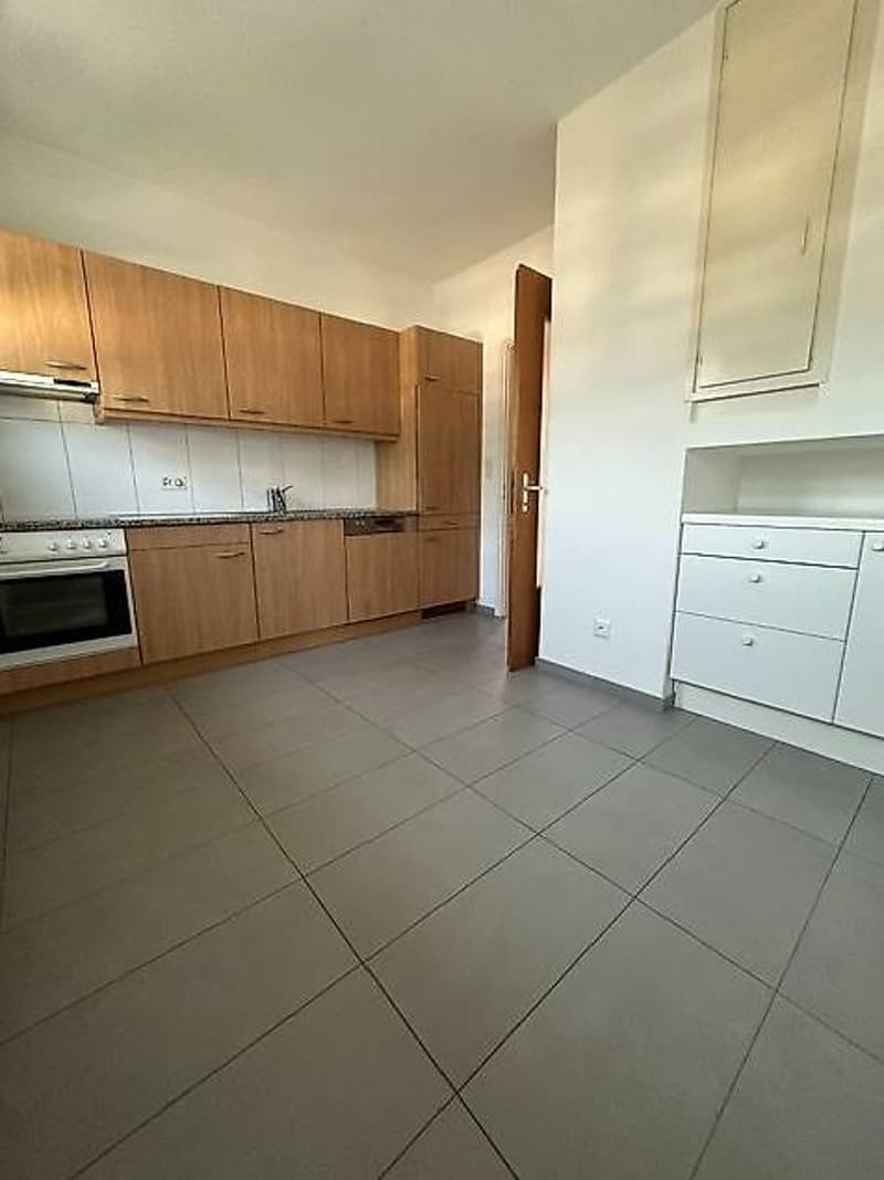 Bellinzona: Schöne 4.5-Zimmer-Wohnung in ruhiger Lage nahe EOC (12)
