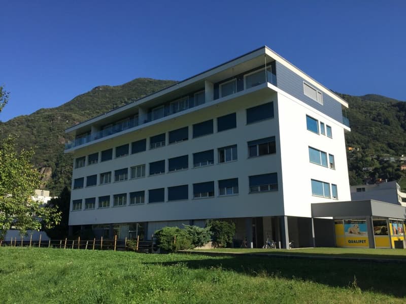 Residenza San Gottardo 17 A 2.5 (1)