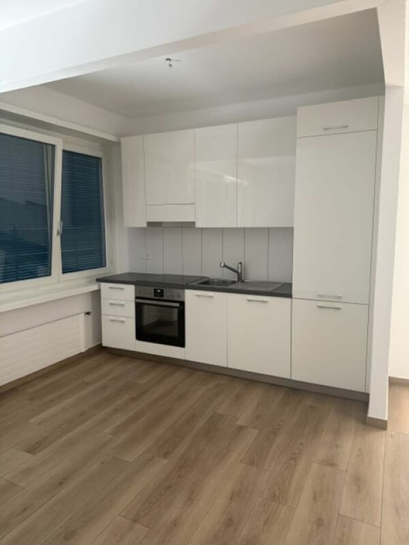 Residenza San Gottardo 17 A 2.5 (2)