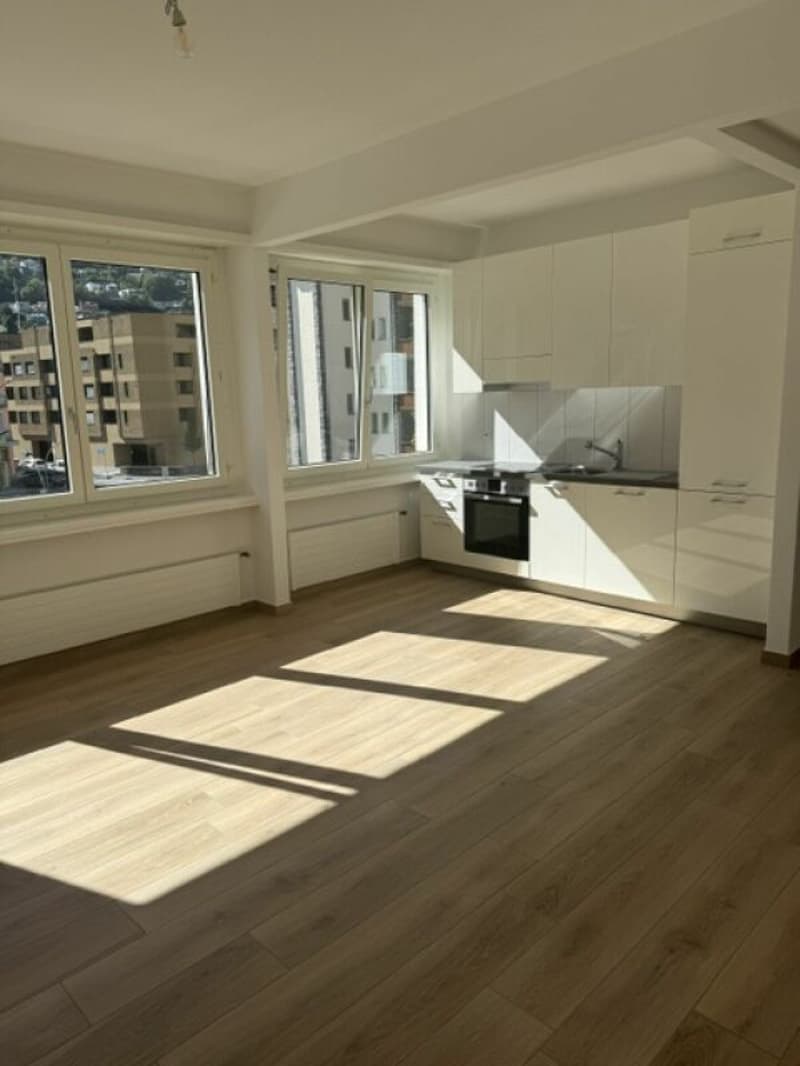 Residenza San Gottardo 17 A 2.5 (3)