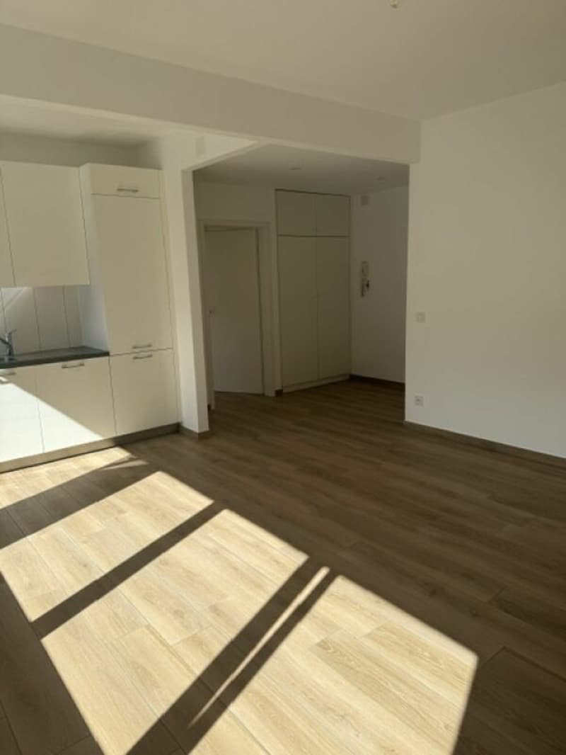Residenza San Gottardo 17 A 2.5 (4)
