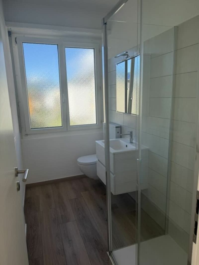 Residenza San Gottardo 17 A 2.5 (8)