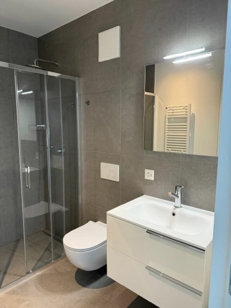 Wir verkaufen eine moderne 3,5-Zimmer-Wohnung mit Balkon in einer ruhigen und gut angebundenen Lage in Ascona (12)