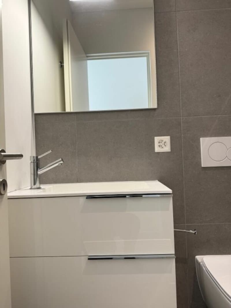 Wir verkaufen eine moderne 3,5-Zimmer-Wohnung mit Balkon in einer ruhigen und gut angebundenen Lage in Ascona (10)