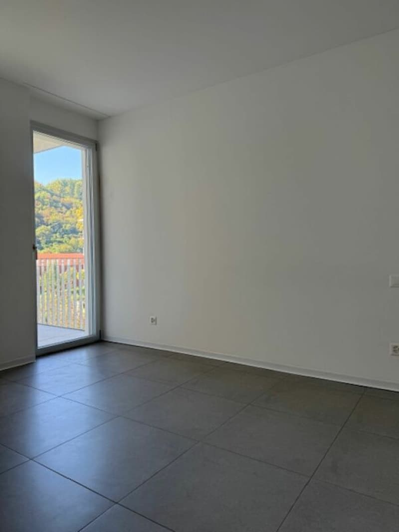 Wir verkaufen eine moderne 3,5-Zimmer-Wohnung mit Balkon in einer ruhigen und gut angebundenen Lage in Ascona (14)