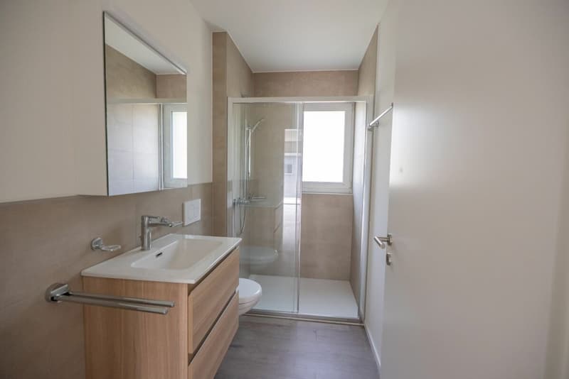 Neue und moderne 4,5-Zimmer-Wohnung in einer attraktiven Lage in Gordola (10)