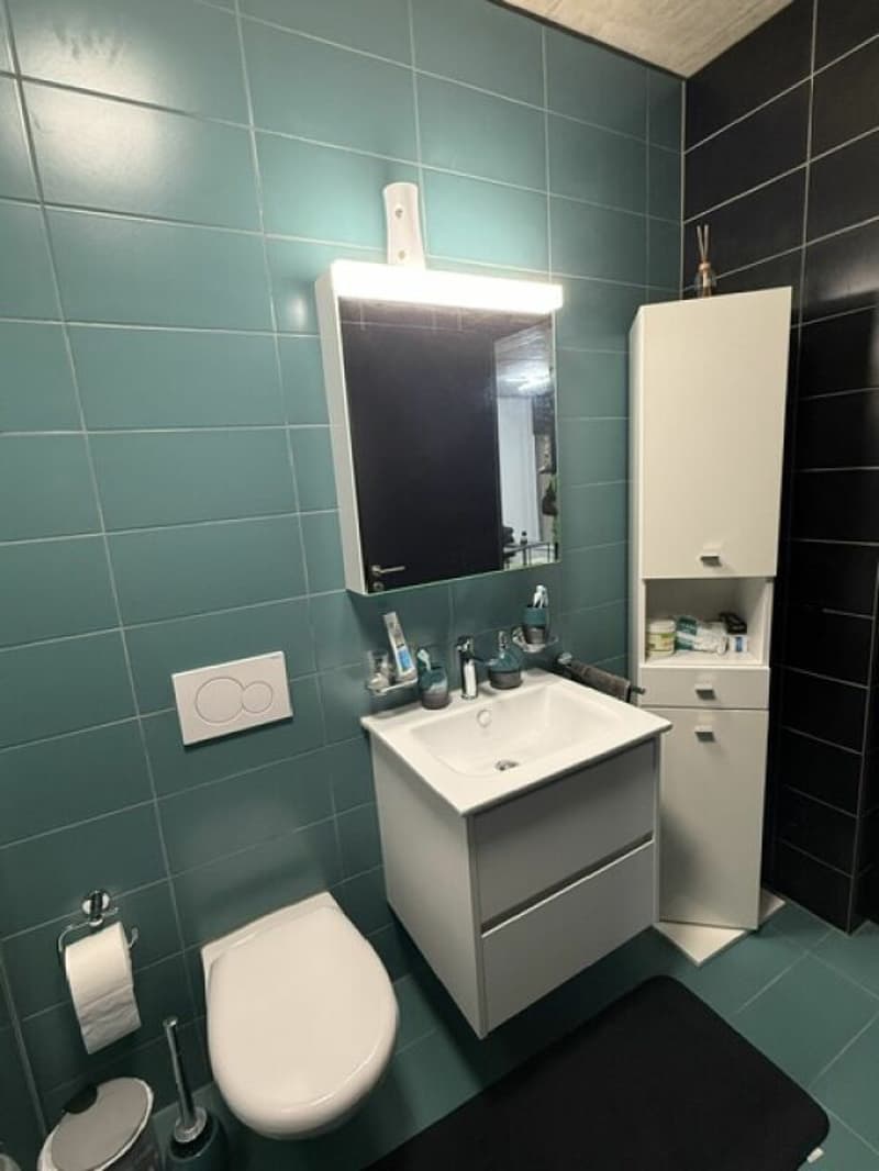Affittiamo grande e moderno appartamento 2.5 locali in zona centrale (15)