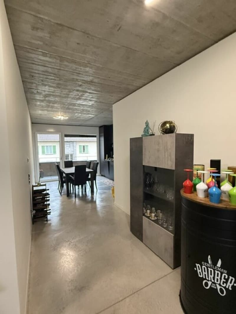 Affittiamo grande e moderno appartamento 2.5 locali in zona centrale (6)