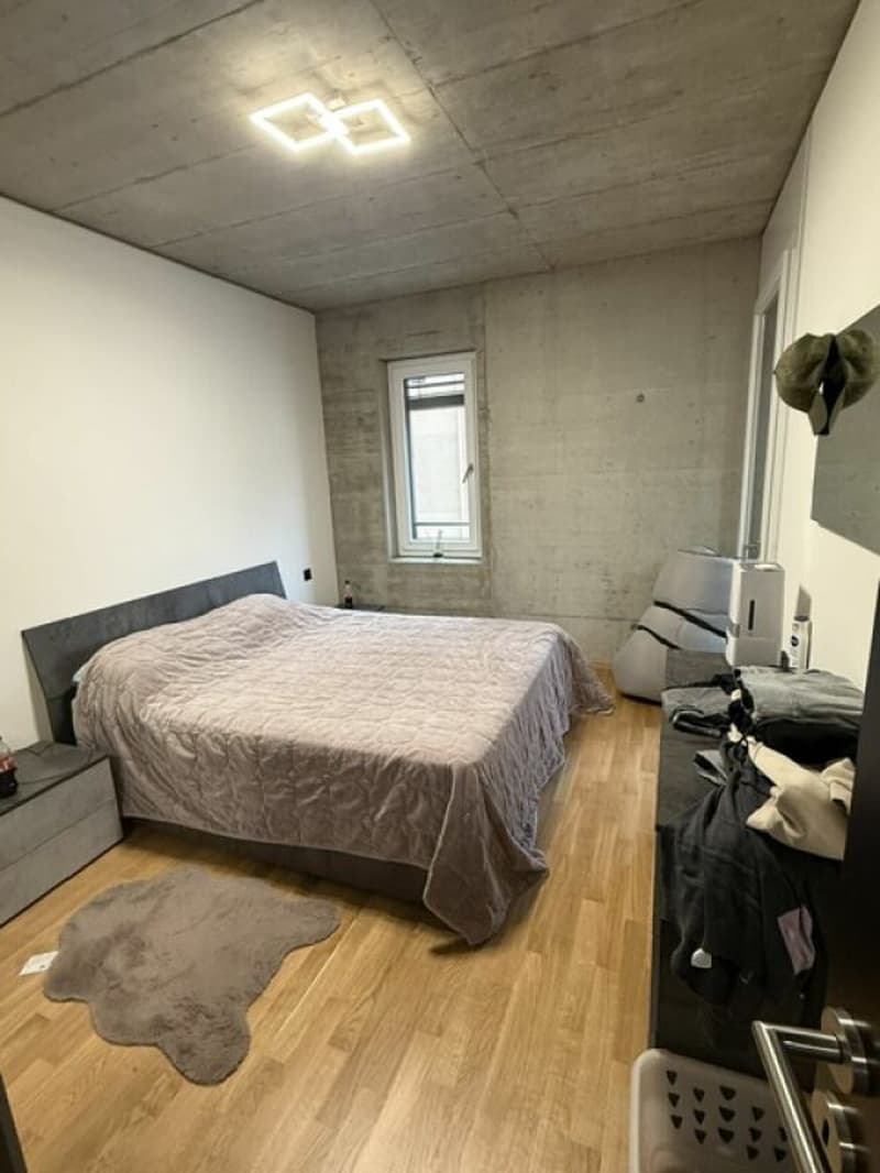 Affittiamo grande e moderno appartamento 2.5 locali in zona centrale (13)