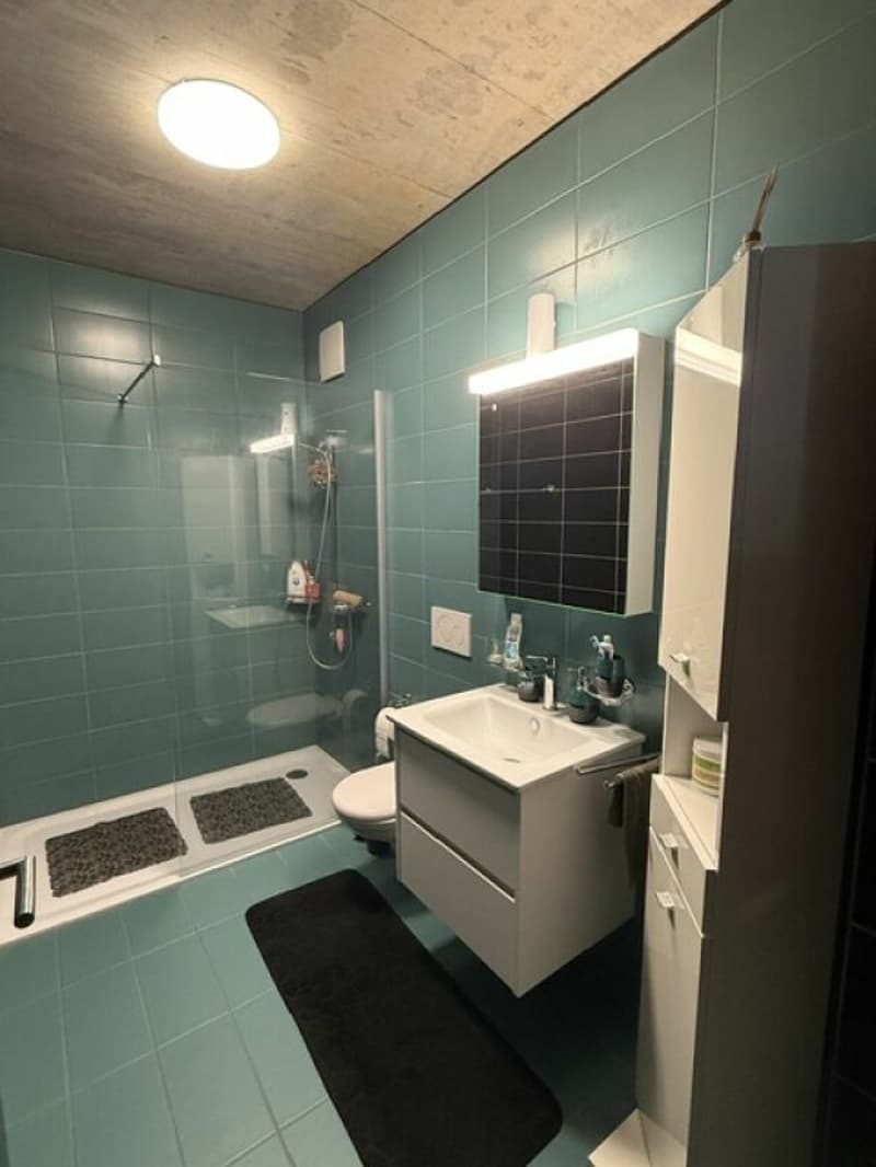 Affittiamo grande e moderno appartamento 2.5 locali in zona centrale (14)