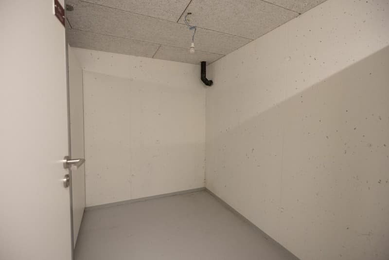 Moderno 3.5 locali a Lumino (16)