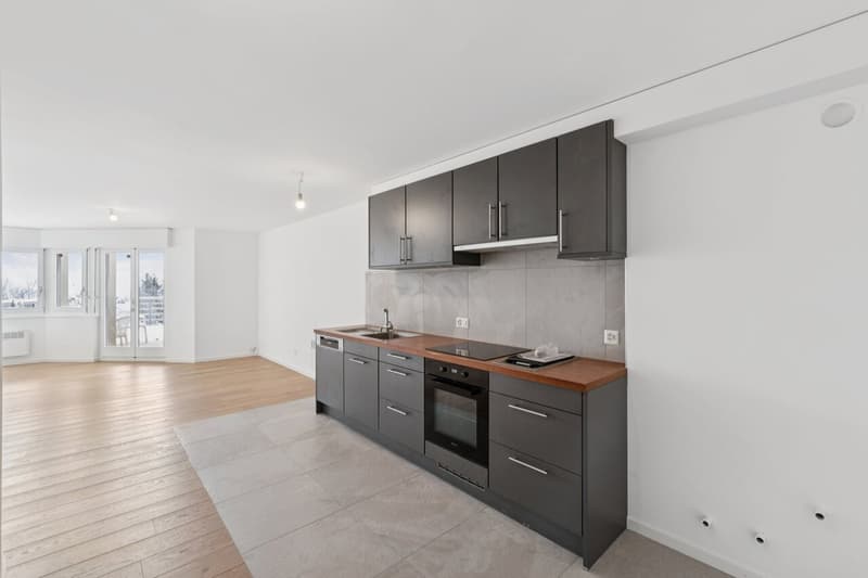 Incantevole appartamento di 2 locali con giardino e vista sul lago (2)