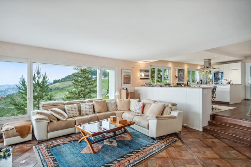 Villa mit Panoramablick auf den Genfersee - Lavaux (7)