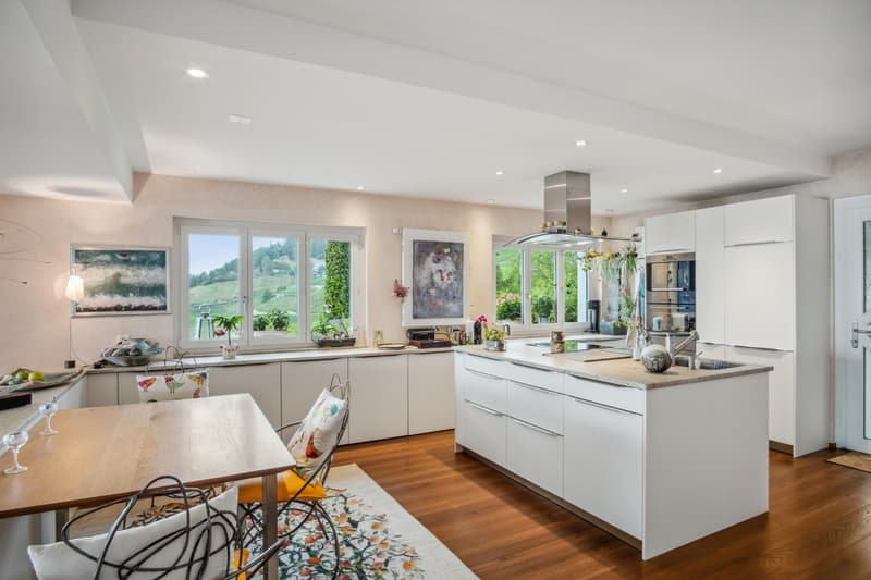 Villa mit Panoramablick auf den Genfersee - Lavaux (6)