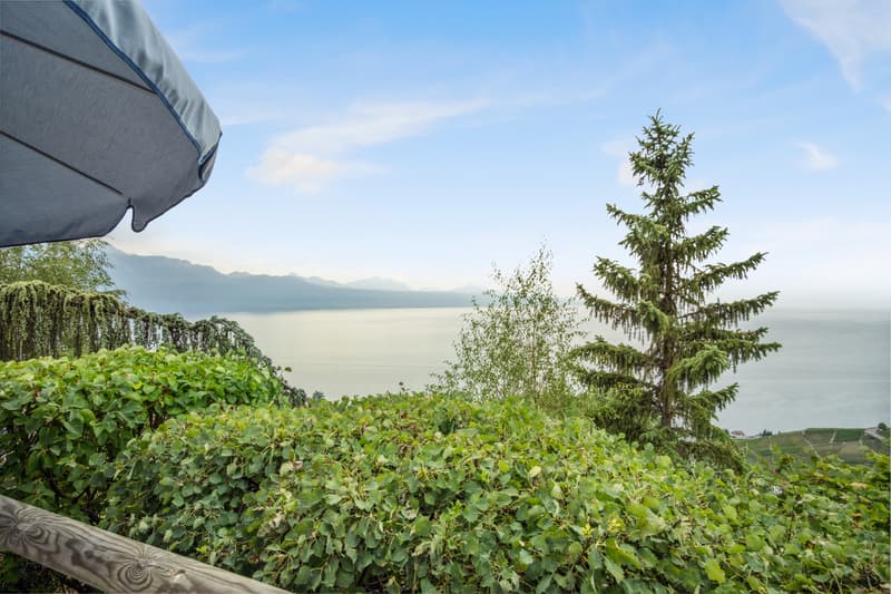 Villa mit Panoramablick auf den Genfersee - Lavaux (1)