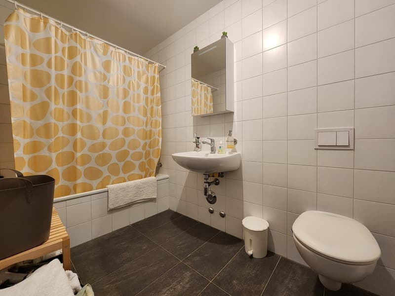Splendido appartamento di 4,5 locali al piano terra con ampio balcone (5)